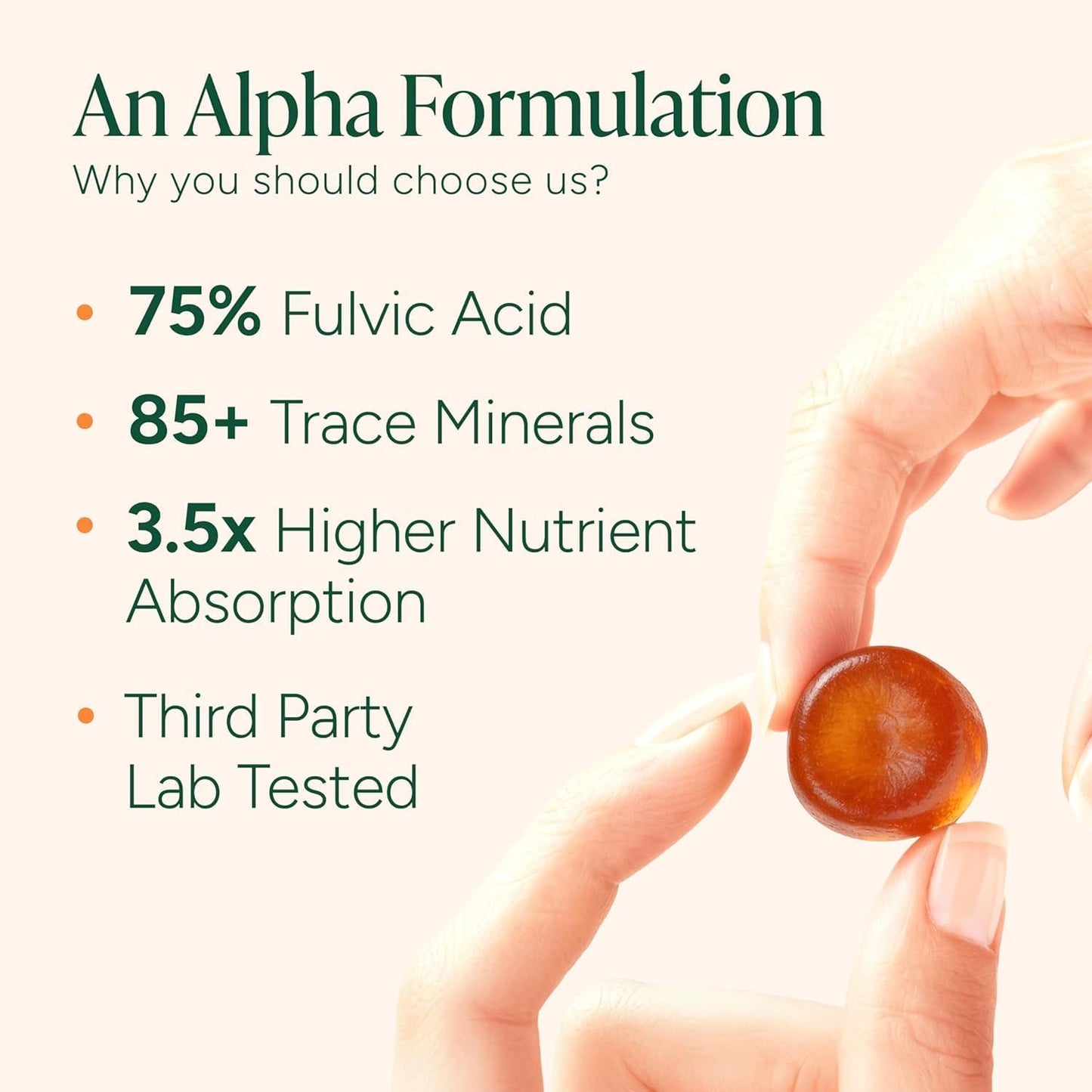 ROOT LABS 10-in-1 Alpha Shilajit Gummies