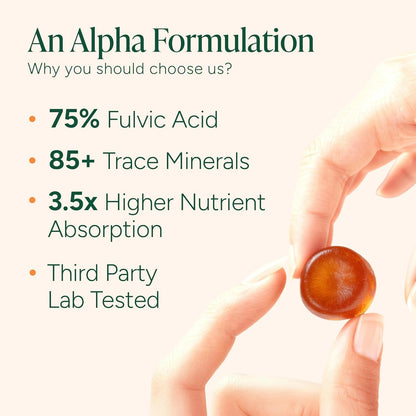 ROOT LABS 10-in-1 Alpha Shilajit Gummies